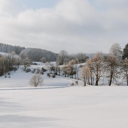 Jagdhaus In Der Rhoen In Voelliger Alleinlage ゲルスフェルト エクステリア 写真
