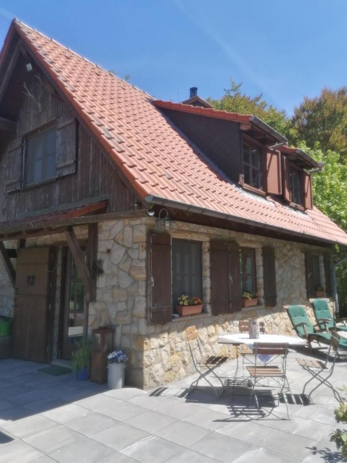 Jagdhaus In Der Rhoen In Voelliger Alleinlage ゲルスフェルト エクステリア 写真
