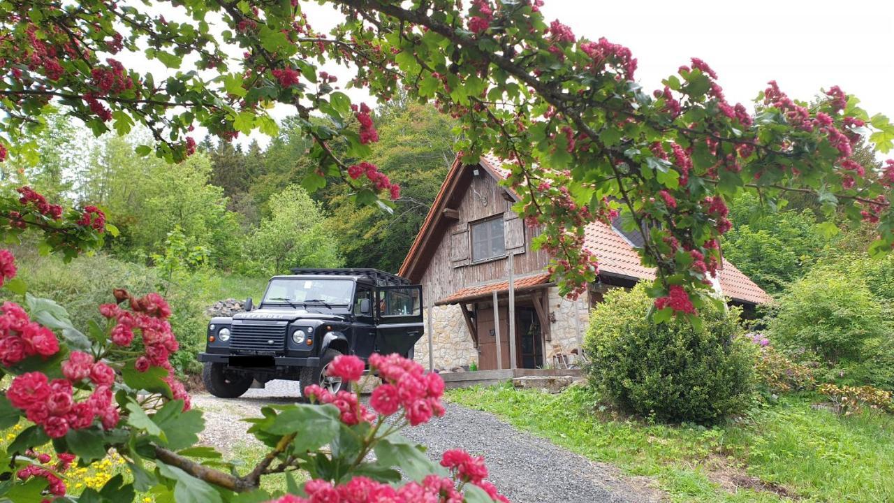 Jagdhaus In Der Rhoen In Voelliger Alleinlage ゲルスフェルト エクステリア 写真