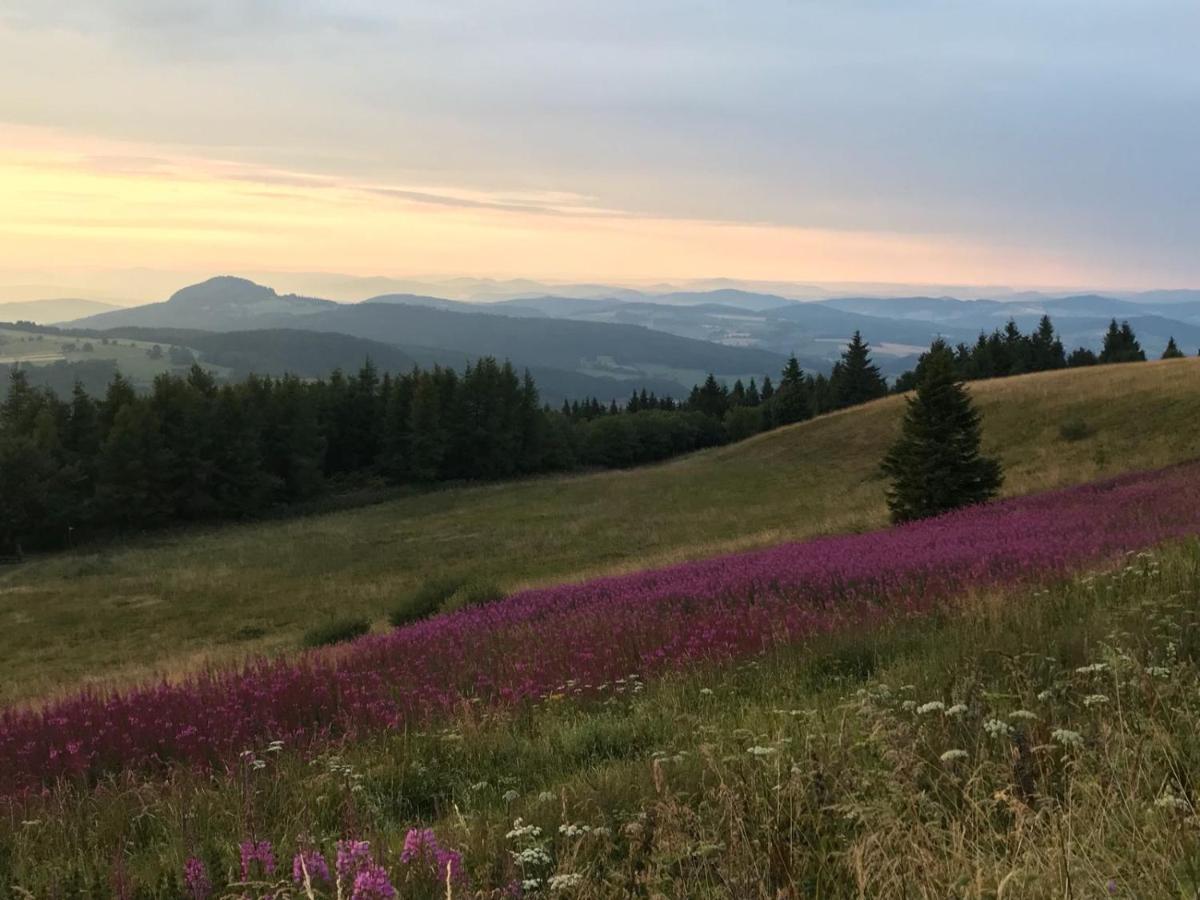 Jagdhaus In Der Rhoen In Voelliger Alleinlage ゲルスフェルト エクステリア 写真